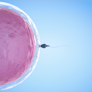 PMA Procreazione Medicalmente Assistita