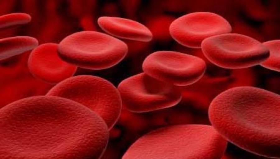 Ematologia e Coagulazione